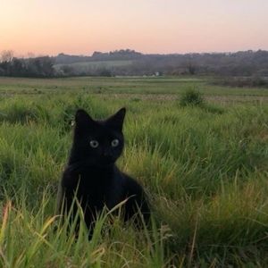 Meet your Posher, Jackalynn